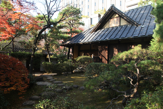 早稲田大学