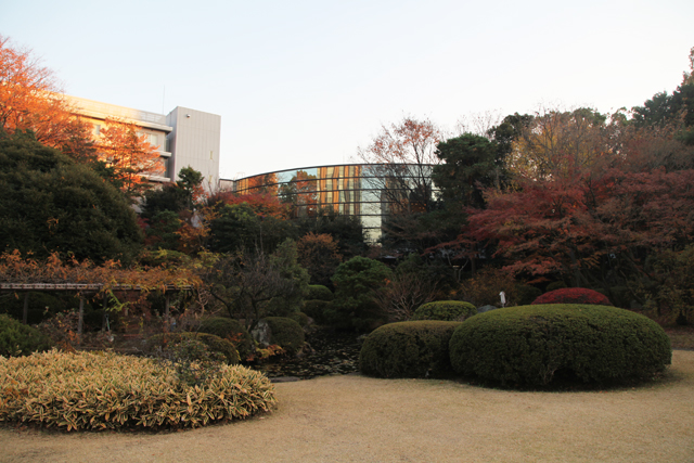 早稲田大学