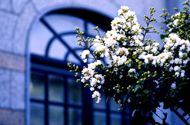 l`@tHgM[